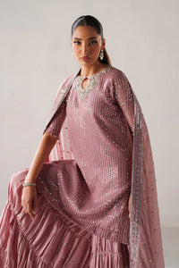 Dusty Rose & Silver Sparkle: Embroidered Chiffon Ghararah Suit - Ready To Wear