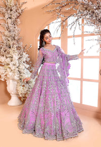 Pastel Lilac & Sparkling Silver: Embroidered Net Bridal Lenge Choli - Ready To Wear