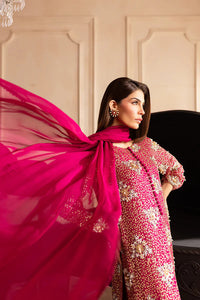 vanya Luxury Heavy Embroidered Ciffion  03 Peace Suit - Ready To Wear