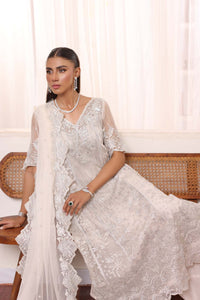 Noor By Saadia Asad Embroidered Chiffon 03 Peace Suit - Ready To Wear