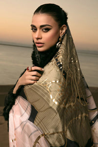 Midnight Desert  Embroidered Cotton Suit - Ready To Wear