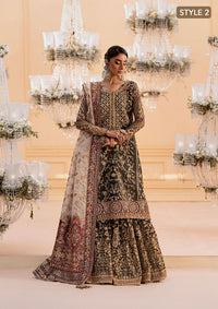 3 Piece Suits Aik Atelier Embroidered Organza  - Ready To Wear
