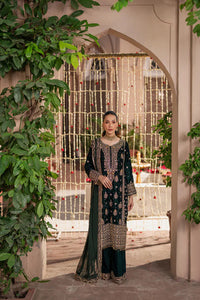 Haseens Velvet hand Embellished & Embroidered 3 Piece Suit - Ready To Wear